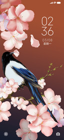 花间视界