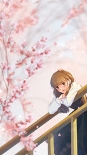 樱花节-锐景创意