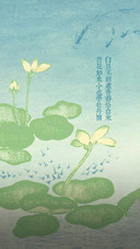 愿盛夏无忧