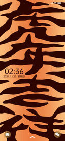 虎纹