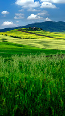 The sunset mountains and waters are rich in green vitality.