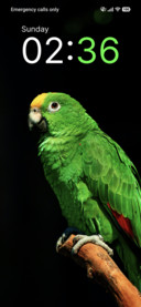 Emerald Charm