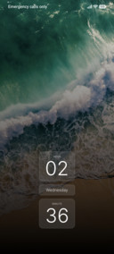 Wild Surf