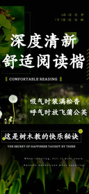 深度清新舒适阅读楷