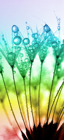 Eye protection wallpaper-PAIXIN