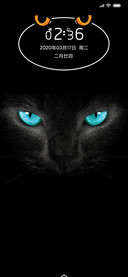 黑猫