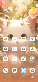 Cute cats playing