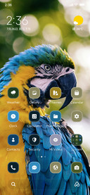 Parrot