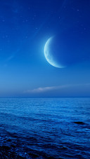 大海