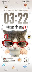 搞怪 窝囊小猫