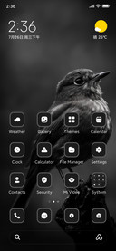 Bird