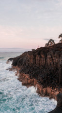 Nature HD (84)