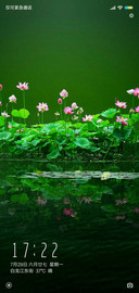 护眼河莲
