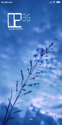 Monsoon_DWM2