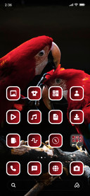 Parrot_3MDS