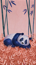 panda sleep