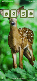 Baby Deer_3MDS