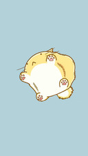 嘟嘟猫