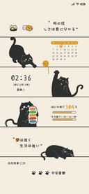 温暖的猫