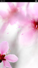 桃花开了（动态花瓣特效）