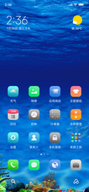 一天到晚游泳的鱼