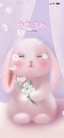 Big ears bunny