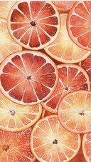 Watercolor Illustration oranges Covered Series
