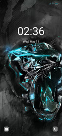 Lightning tiger