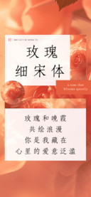 玫瑰细宋体