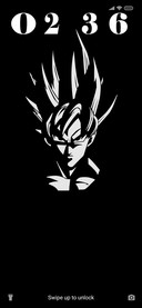 DRAGONBALL-Z_DWM20