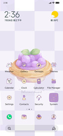 Taro