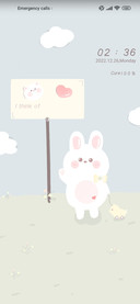 Heal the rabbit