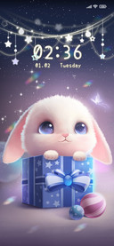 Rabbit Gift Box