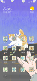 傲娇猫