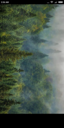 Forest Secret