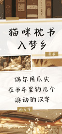 猫咪枕书入梦乡