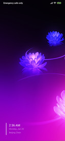 Purple Flowers v11