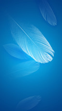 Nice Quill