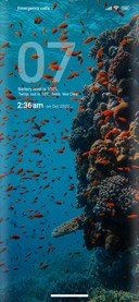Sea