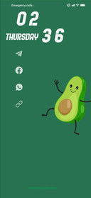 Avacado v13