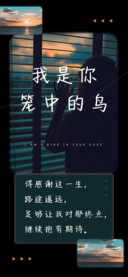 我是你笼中的鸟