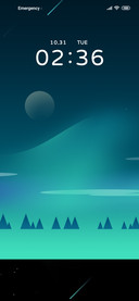 Forest aurora