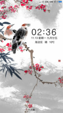 报喜鸟