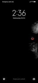 Shadow