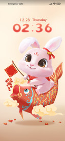 Koi rabbit