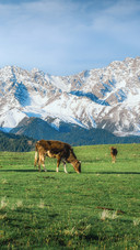 Travel to xinjiang with the wedding