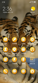 Tigers_3MDS