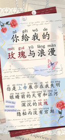 你给我的玫瑰与浪漫