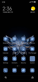 Glass Butterfly