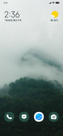 Hidden Fogwood